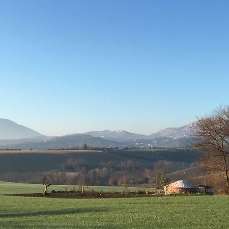 Glamping Abruzzo - The Yurt Hotell Catignano Exteriör bild