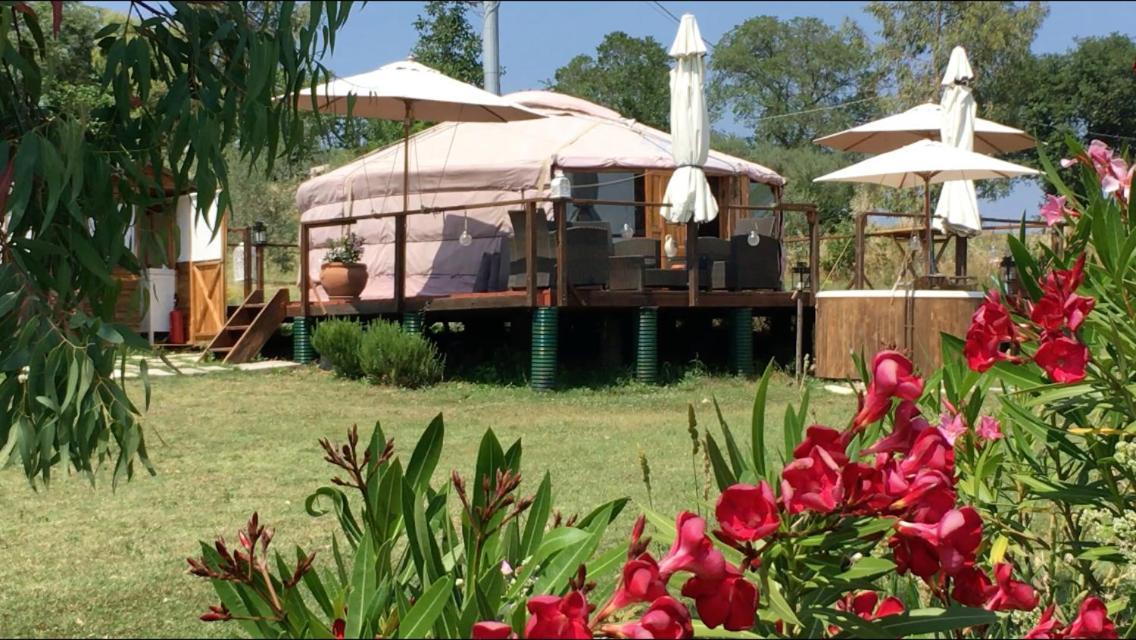 Glamping Abruzzo - The Yurt Hotell Catignano Exteriör bild