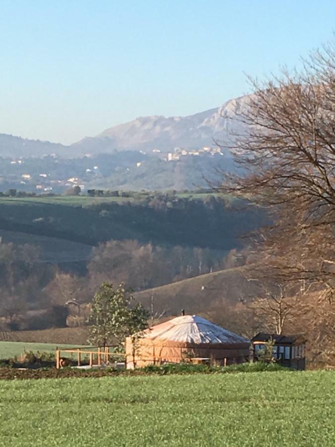 Glamping Abruzzo - The Yurt Hotell Catignano Exteriör bild